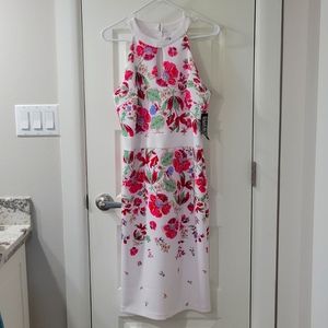 NY&Co women dress